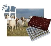 puzzleYOU : Calendrier de l'Avent | « Troupeau de chèvres et Troupeau de Moutons dans la Lande de Lunebourg »