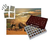 puzzleYOU : Calendrier de l'Avent | « Troupeau d'éléphants d'Afrique, Parc National d'Addo Elephant, Afrique du Sud »