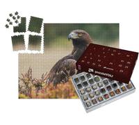 puzzleYOU : Calendrier de l'Avent | « Un Aigle Royal Regarde Autour de Lui »