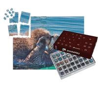 puzzleYOU : Calendrier de l'Avent | « Un Baiser de Maman pour Le bébé Loutre de mer »