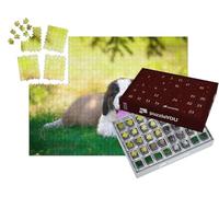 puzzleYOU : Calendrier de l'Avent | « Un Chiot Saint-Bernard »