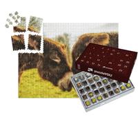 puzzleYOU : Calendrier de l'Avent | « Un Couple d'ânes se Regarde dans Les Yeux »