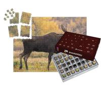 puzzleYOU : Calendrier de l'Avent | « Un élan mâle se promenant sous la Pluie »