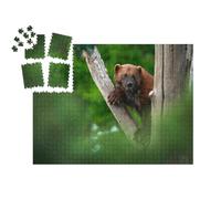 puzzleYOU : Calendrier de l'Avent | « Un glouton sur Un Tronc d'arbre dans la forêt »