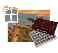 puzzleYOU : Calendrier de l'Avent | « Un Grand Corbeau Volant la Proie d'un vautour Fauve »