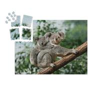 puzzleYOU : Calendrier de l'Avent | « Un Jeune Koala se blottit Contre Le Dos de sa mère »