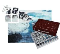 puzzleYOU : Calendrier de l'Avent | « Un Manchot Adélie Saute dans la mer, Antarctique »