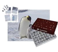 puzzleYOU : Calendrier de l'Avent | « Un Manchot Empereur et Son Poussin, Antarctique »
