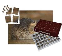 puzzleYOU : Calendrier de l'Avent | « Un Rongeur Coypu en Train de se Nourrir »