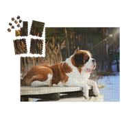 puzzleYOU : Calendrier de l'Avent | « Un Saint-Bernard couché sur Un Ponton en Bois en Hiver »