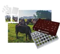 puzzleYOU : Calendrier de l'Avent | « Un Troupeau de Vaches Noires Aberdeen Angus dans l'herbe Verte »