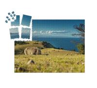 puzzleYOU : Calendrier de l'Avent | « Un Wombat Cherche de la Nourriture »