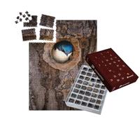 puzzleYOU : Calendrier de l'Avent | « Une Hirondelle Rustique s'aventure Hors de Son nid dans Un Tronc d'arbre »