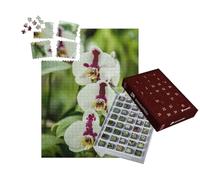 puzzleYOU : Calendrier de l'Avent | « Une orchidée en Fleur du Genre Phalaenopsis »