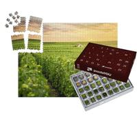 puzzleYOU : Calendrier de l'Avent | « Vignobles de Champagne au Coucher du Soleil, Montagne de Reims, France »