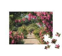 puzzleYOU : Puzzle de 100 pièces « Arche de Roses dans Un Parc avec Vue sur Une Fontaine »