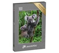 puzzleYOU : Puzzle de 100 pièces « Bébé Koala sur Le Dos de sa mère au Zoo de Taipei, Taïwan »