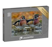 puzzleYOU : Puzzle de 100 pièces « Canard en Bois ou Canard de Caroline »