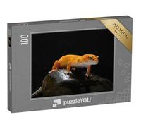 puzzleYOU : Puzzle de 100 pièces « Gecko, lézard, lézard-Gecko léopard »
