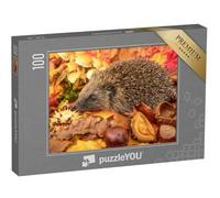 puzzleYOU : Puzzle de 100 pièces « Hérisson en Automne avec des châtaignes et des Feuilles d'automne colorées »