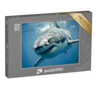 puzzleYOU : Puzzle de 100 pièces « Requin Blanc »