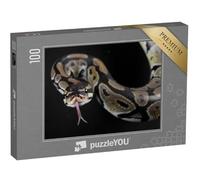 puzzleYOU : Puzzle de 100 pièces « Serpent Python à la Langue tirée »