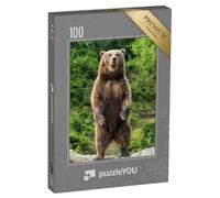 puzzleYOU : Puzzle de 100 pièces « Un Ours Brun au Printemps »