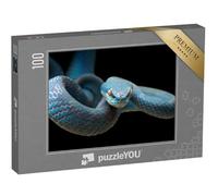 puzzleYOU : Puzzle de 100 pièces « Vipère Bleue sur la Branche prête à attaquer Une Proie »