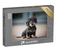 puzzleYOU : Puzzle de 1000 pièces « Adorable Chiot Teckel Nain à Poil Dur »
