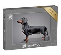 puzzleYOU : Puzzle de 1000 pièces « Adorable Teckel »