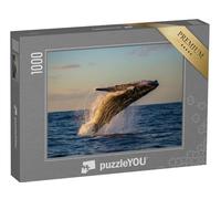 puzzleYOU : Puzzle de 1000 pièces « Baleine à Bosse en Train de Sauter au crépuscule »