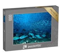 puzzleYOU : Puzzle de 1000 pièces « Banc géant de Poissons docteurs Bleus sur Le récif »