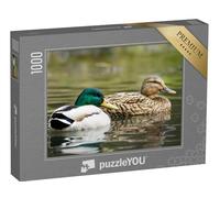 puzzleYOU : Puzzle de 1000 pièces « Canard colvert mâle et Femelle nageant sur Un étang d'eau Verte »