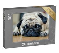 puzzleYOU : Puzzle de 1000 pièces « Carlin au Regard fidèle »