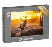 puzzleYOU : Puzzle de 1000 pièces « Cerf élaphe au Soleil du Matin »