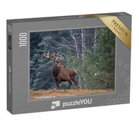 puzzleYOU : Puzzle de 1000 pièces « Cerf Fier avec de Grands Bois, Seul dans la forêt »