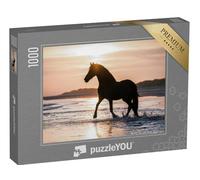 puzzleYOU : Puzzle de 1000 pièces « Cheval Noir trottant Librement sur la Plage Contre la lumière du Soir »