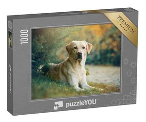 puzzleYOU : Puzzle de 1000 pièces « Chien Labrador Retriever sous Un Arbre »