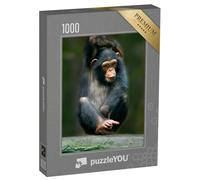 puzzleYOU : Puzzle de 1000 pièces « Chimpanzé comme Singe Humain d'Afrique »