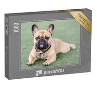 puzzleYOU : Puzzle de 1000 pièces « Chiot Bouledogue français »