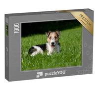 puzzleYOU : Puzzle de 1000 pièces « Chiot Fox-Terrier à Poil Dur dans l'herbe »