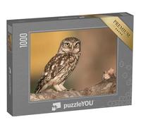 puzzleYOU : Puzzle de 1000 pièces « Chouette chevêche sur Une Branche »