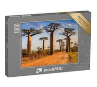 puzzleYOU : Puzzle de 1000 pièces « des baobabs Uniques dans l'allée des baobabs, Madagascar »