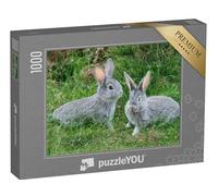 puzzleYOU : Puzzle de 1000 pièces « des Lapins Gris Duveteux sur l'herbe Verte »