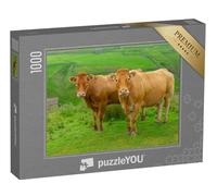 puzzleYOU : Puzzle de 1000 pièces « Deux Belles Vaches limousines sur Les High Fells près de Keld dans Le North Yorkshire »
