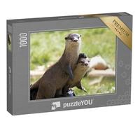 puzzleYOU : Puzzle de 1000 pièces « Deux loutres de rivière attentives »