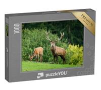 puzzleYOU : Puzzle de 1000 pièces « Face à Face avec Un cerf, en arrière-Plan Une biche en Train de brouter »