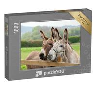 puzzleYOU : Puzzle de 1000 pièces « Famille d'ânes en Plein air dans la Prairie »