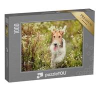 puzzleYOU : Puzzle de 1000 pièces « Fox-Terrier dans la Nature »