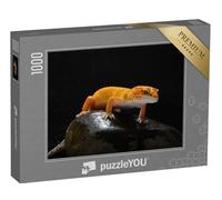 puzzleYOU : Puzzle de 1000 pièces « Gecko, lézard, lézard-Gecko léopard »